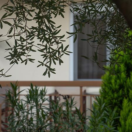 Guesthouse Adonis Loutraki  Luaran gambar