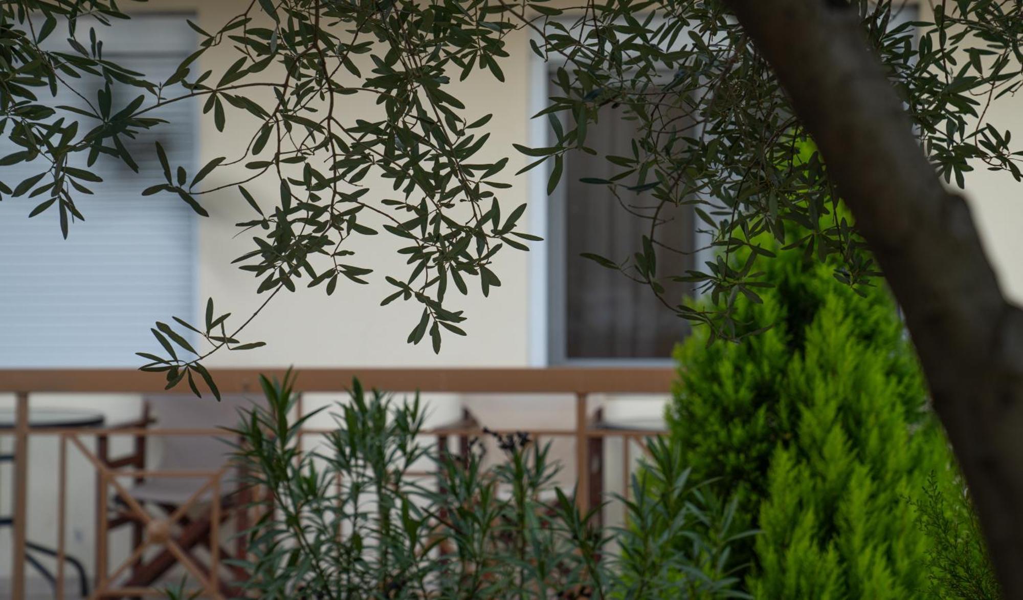 Guesthouse Adonis Loutraki  Luaran gambar