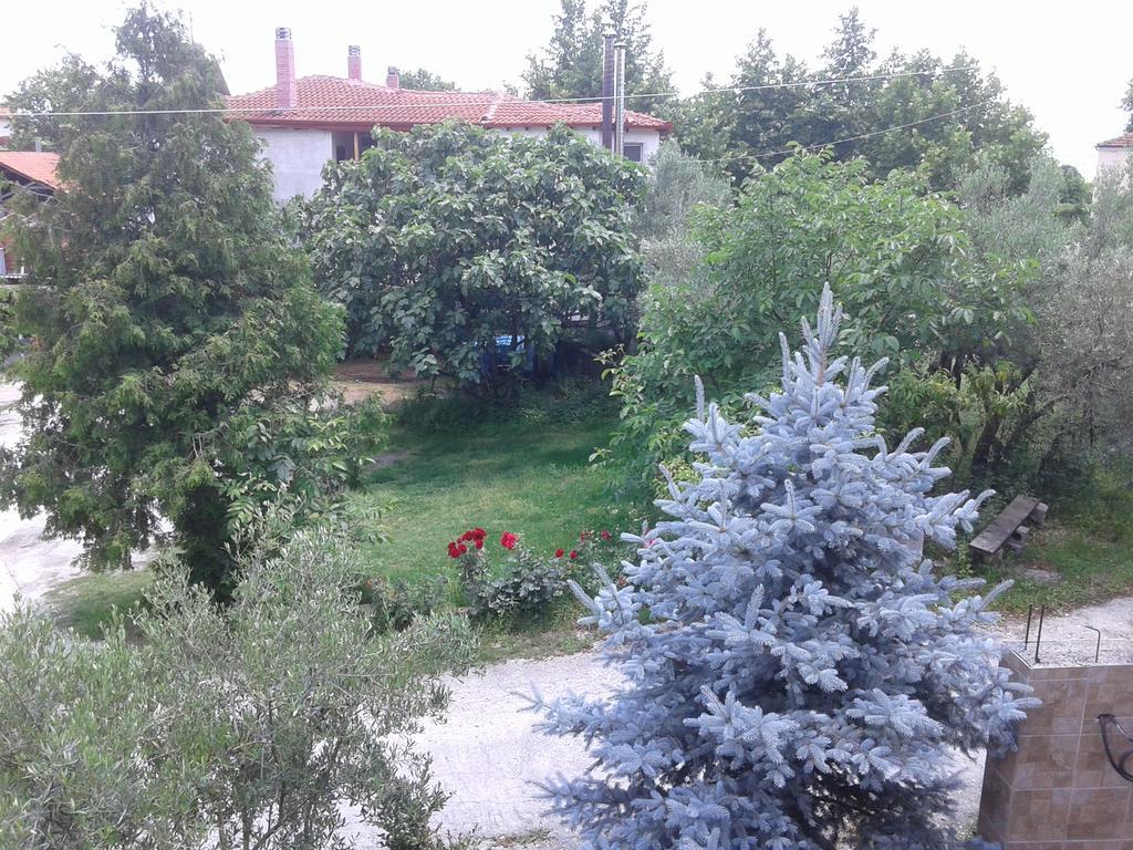 Guesthouse Adonis Loutraki  Luaran gambar